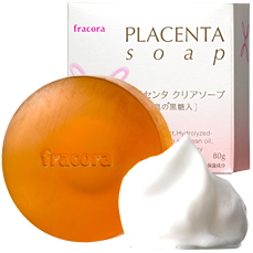 �t���R���v���Z���^ �N���A�\�[�v