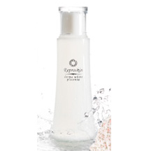 ���v���X�L�����ϐ�